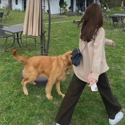 梦回鹿鼎记